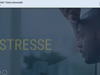 TrainingBriefs® I’m Stressed! (Portuguese-Brazilian)